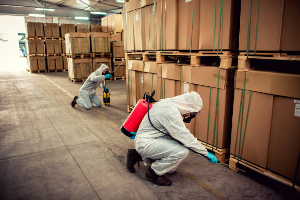 Best Cockroach Control Services  in Valle Vista, CA