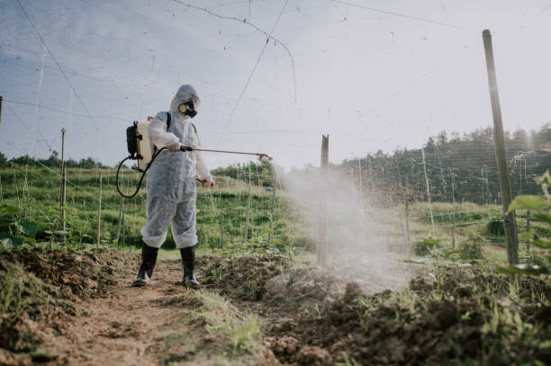 Best Mosquito Control Services  in Valle Vista, CA