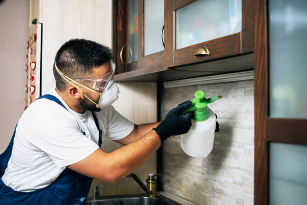 Best Pest Control Near Me  in Valle Vista, CA