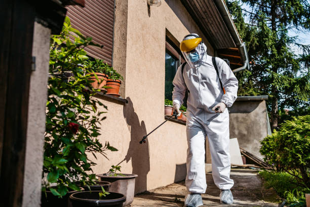 Wildlife Control Services in Valle Vista, CA