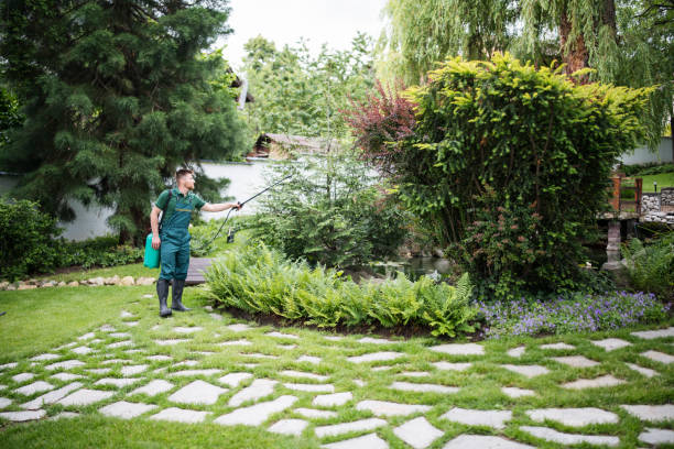  Valle Vista, CA Pest Control Pros