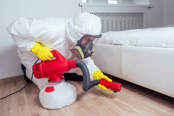 Pest Prevention Services in Valle Vista, CA
