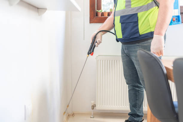Best Ant Control Services  in Valle Vista, CA