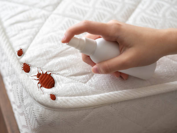 Best Best Pest Control Companies  in Valle Vista, CA