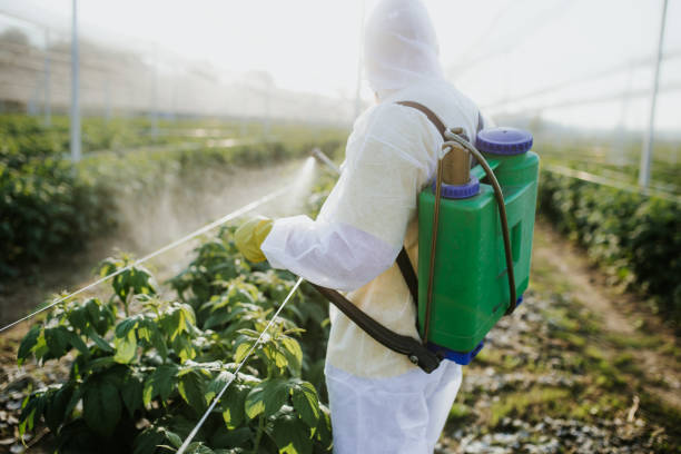 Best Best Pest Control Companies  in Valle Vista, CA